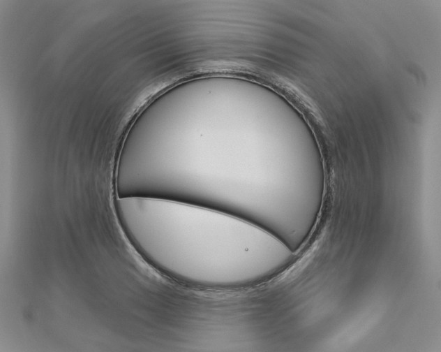 X0000113161033200909040948