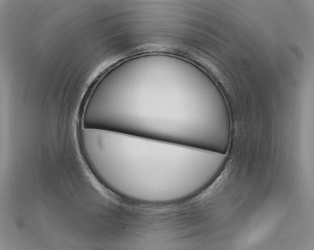 X0000113161034200909040948