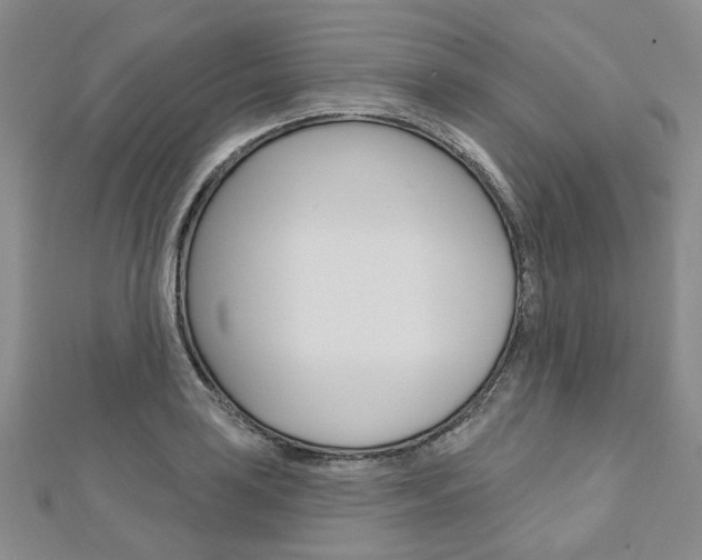 X0000113161035200909040948