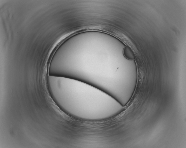 X0000113161036200909040948