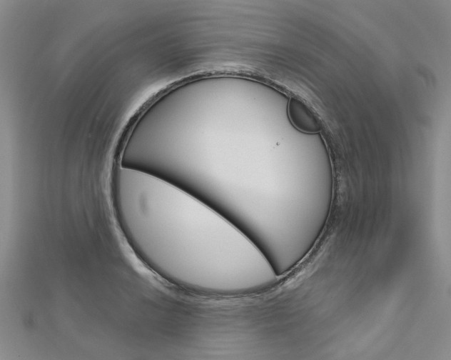 X0000113161038200909040949