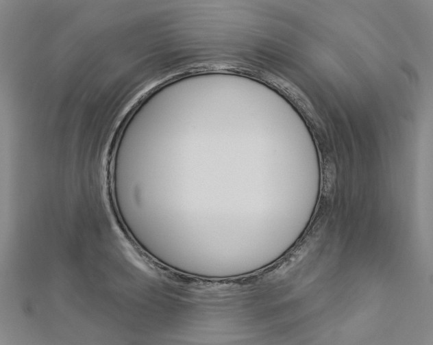 X0000113161039200909040949