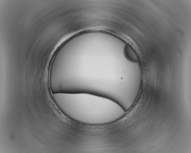 X0000113161044200909040949