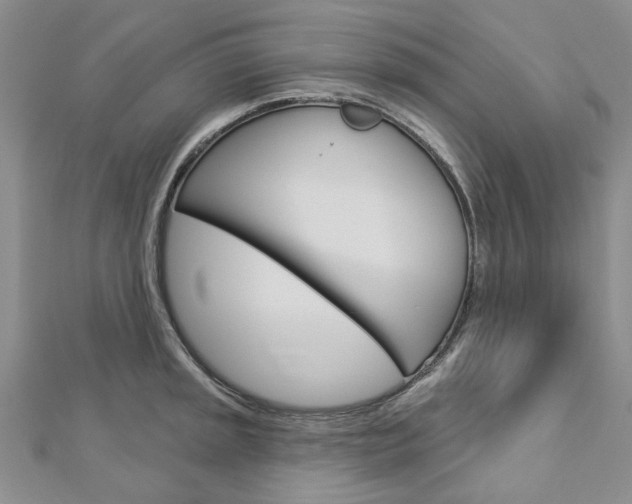 X0000113161045200909040949
