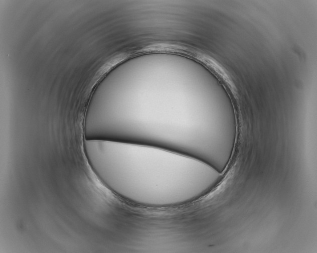 X0000113161049200909040949