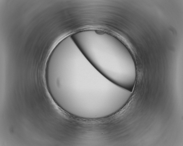 X0000113161050200909040949