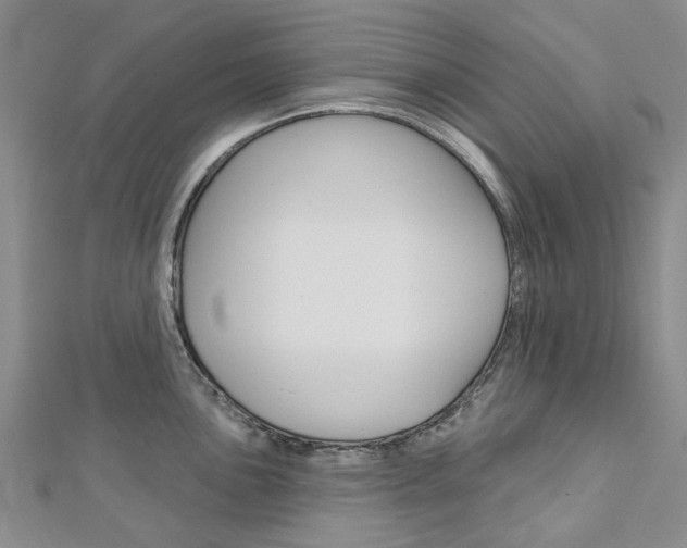 X0000113161051200909040949