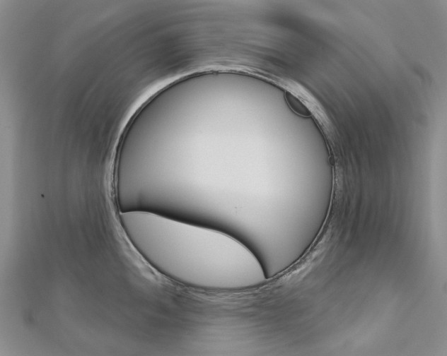 X0000113161052200909040949