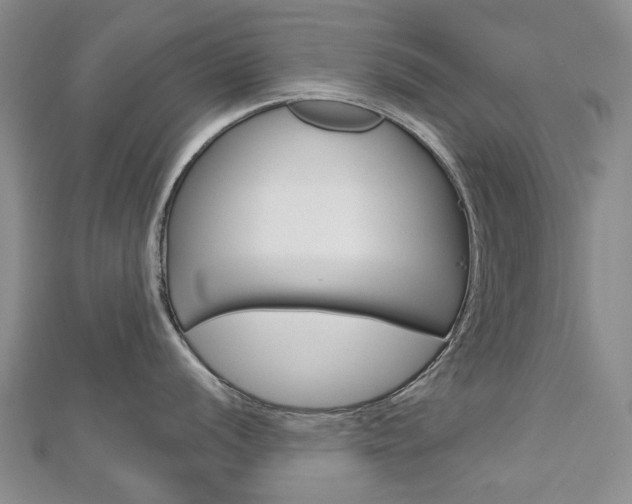 X0000113161056200909040949
