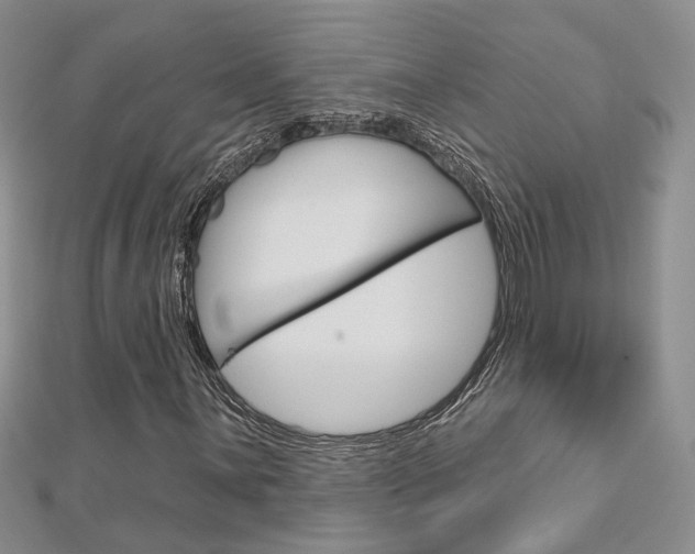 X0000113161059200909040948