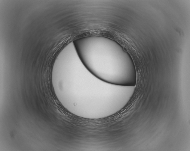 X0000113161060200909040948