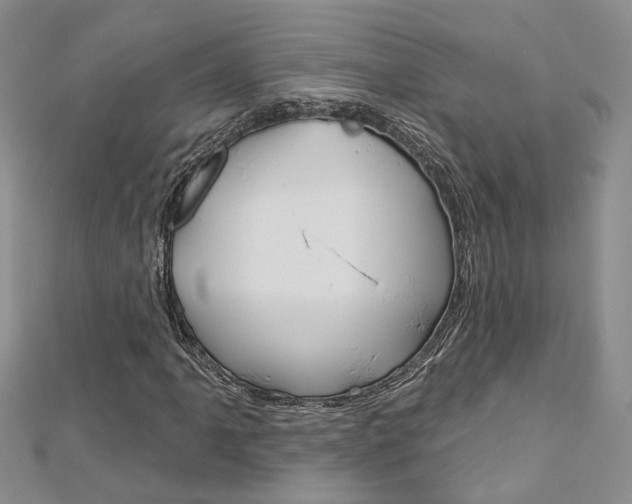 X0000113161061200909040948