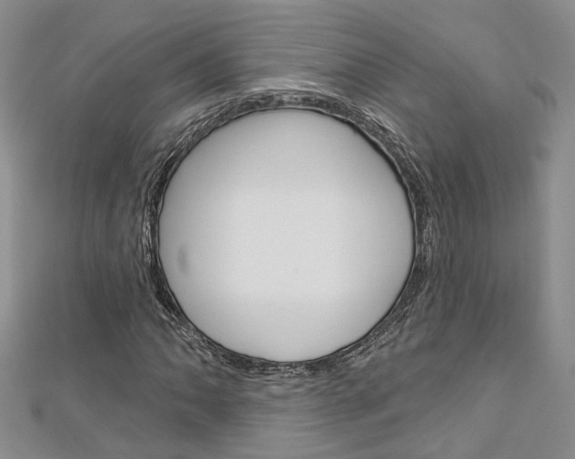 X0000113161062200909040948