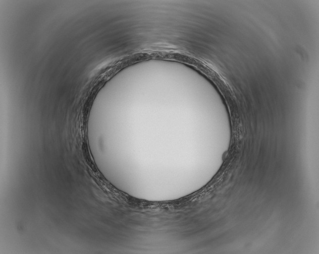 X0000113161063200909040948