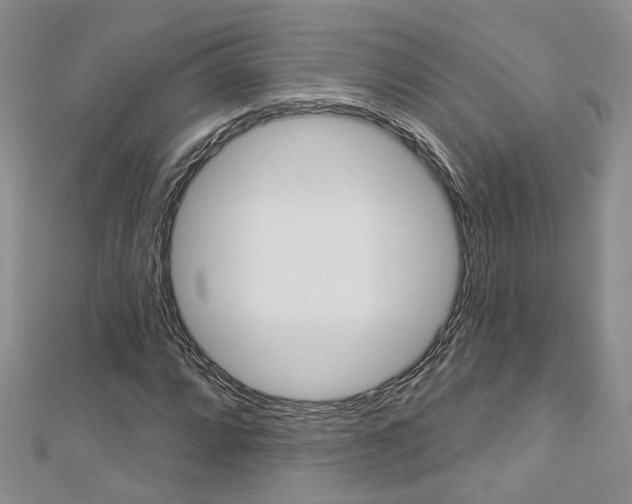 X0000113161064200909040948