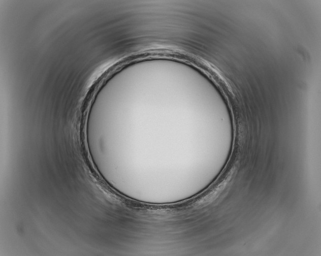 X0000113161066200909040948