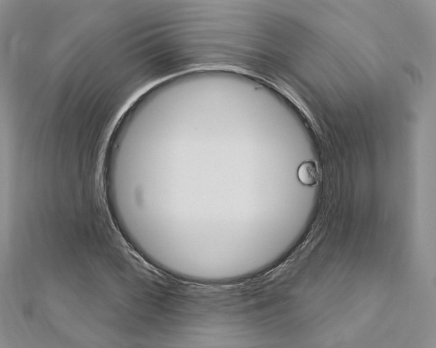 X0000113161068200909040948