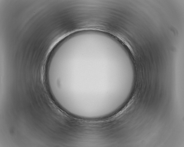 X0000113161069200909040948