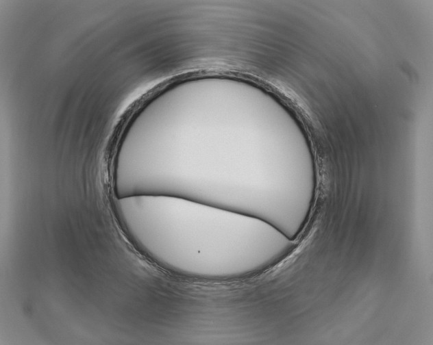 X0000113161070200909040948