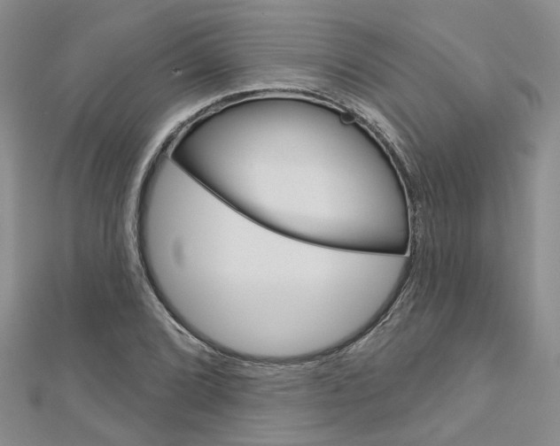 X0000113161072200909040948