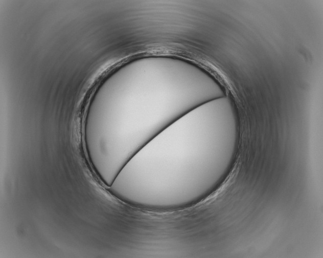 X0000113161075200909040948