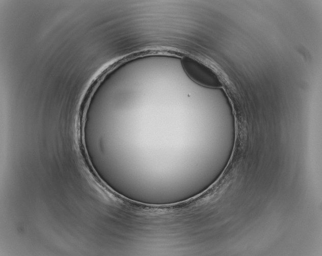 X0000113161076200909040948