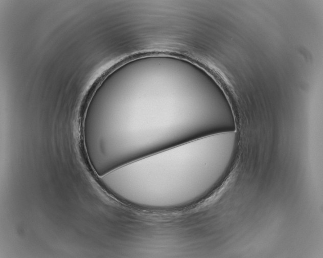 X0000113161077200909040948