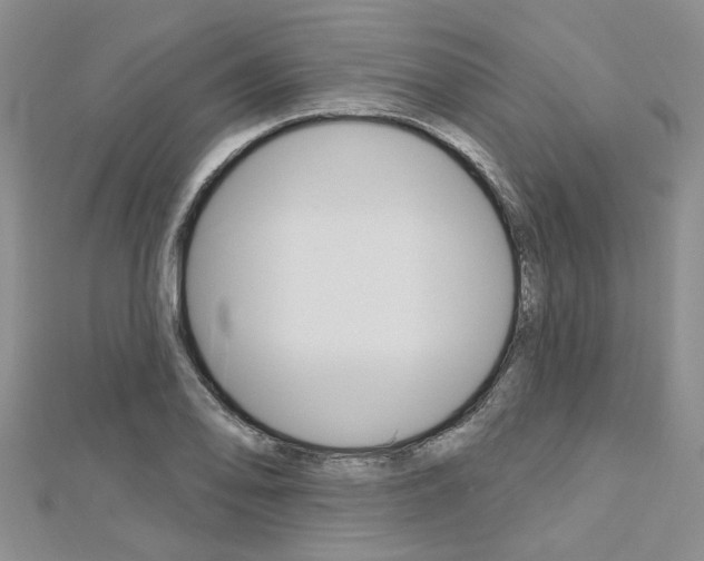 X0000113161078200909040948