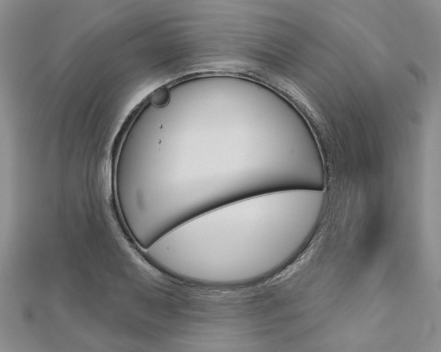 X0000113161079200909040948