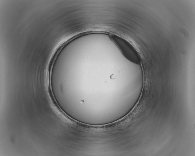 X0000113161080200909040948