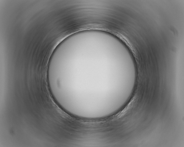 X0000113161081200909040948