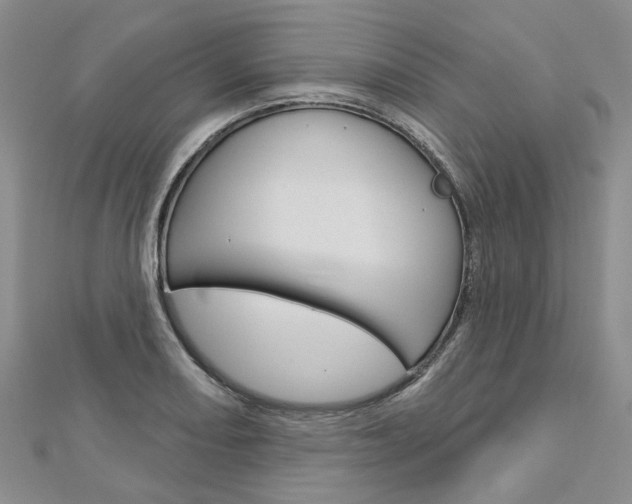 X0000113161082200909040948