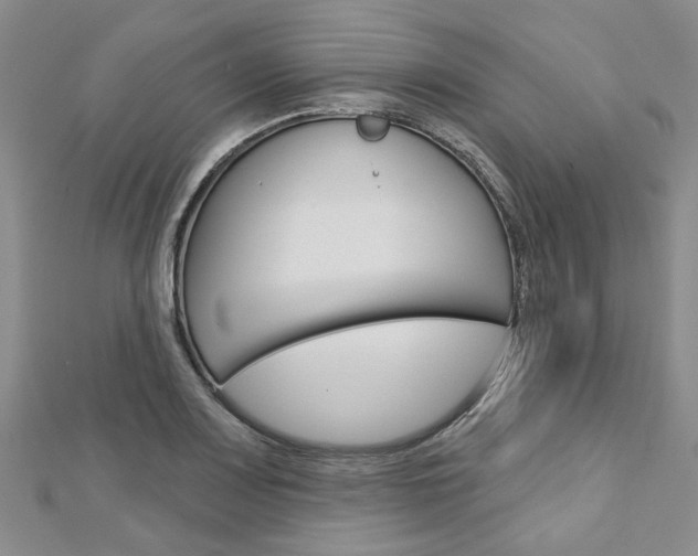 X0000113161083200909040948