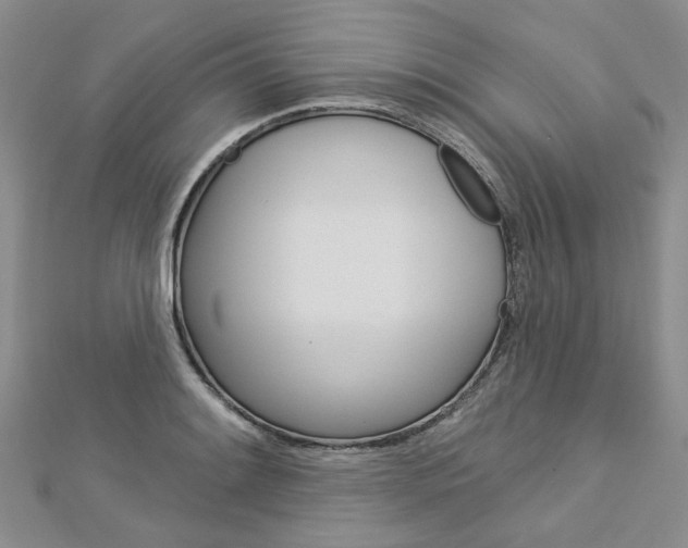 X0000113161084200909040948