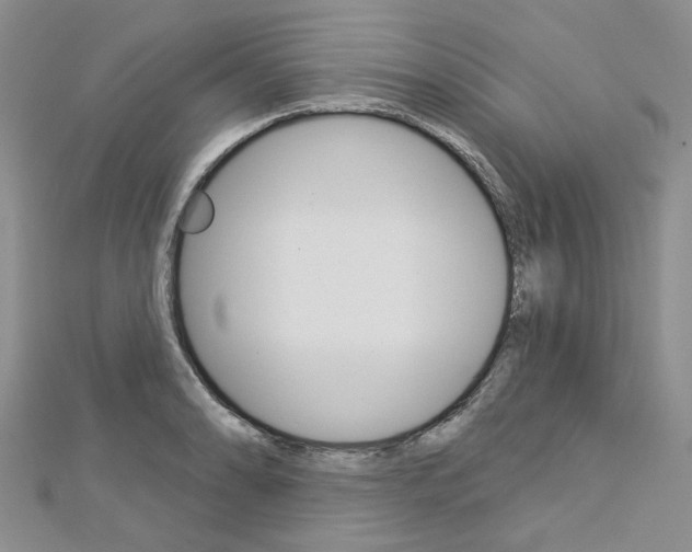 X0000113161086200909040948