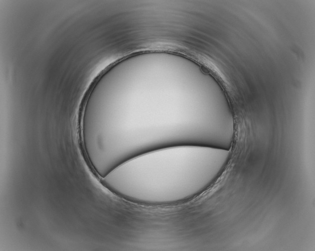 X0000113161087200909040948