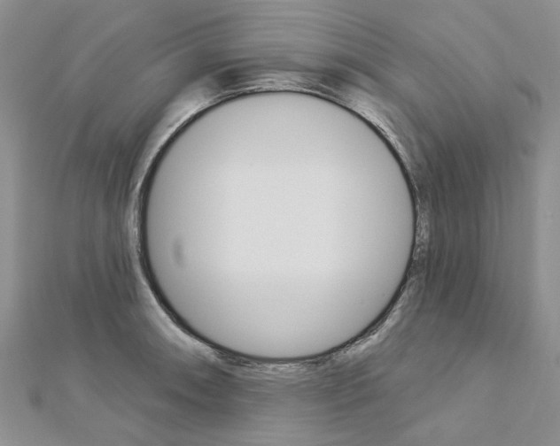 X0000113161090200909040948