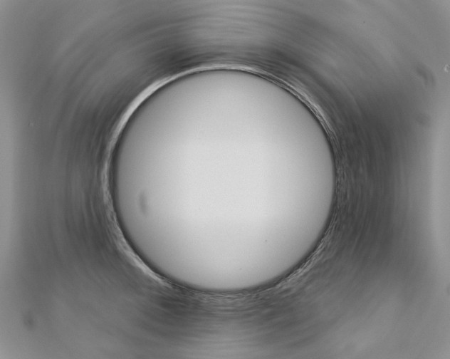 X0000113161092200909040948