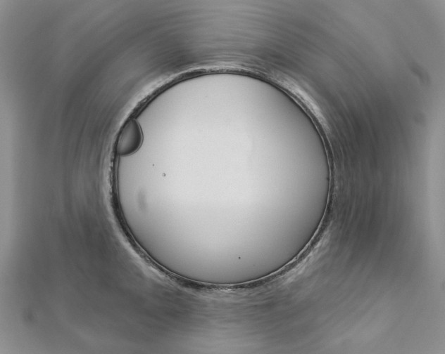 X0000113161093200909040947