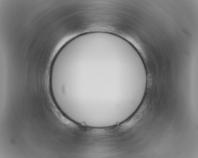 X0000113161094200909040947