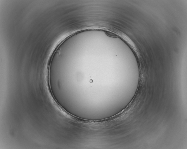X0000113161096200909040947