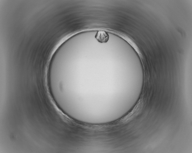 X0000113161101200909040947