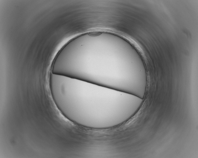 X0000113161102200909040947