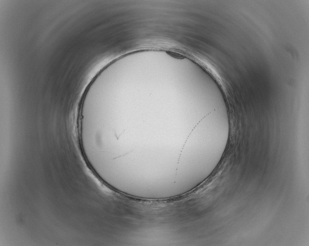 X0000113161103200909040947