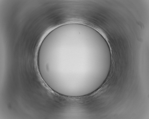 X0000113161104200909040947