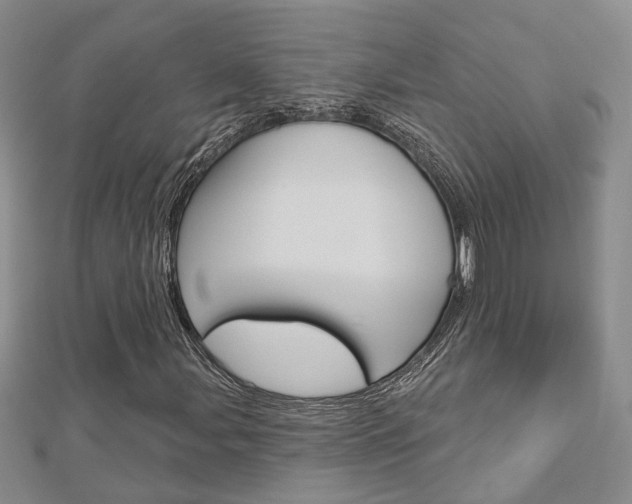 X0000113161107200909040947