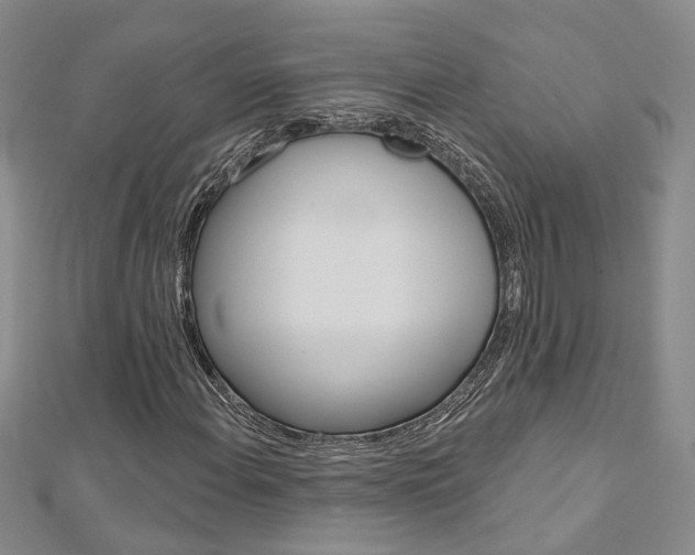 X0000113161108200909040947