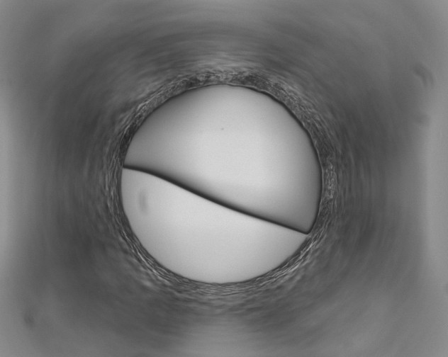X0000113161109200909040947