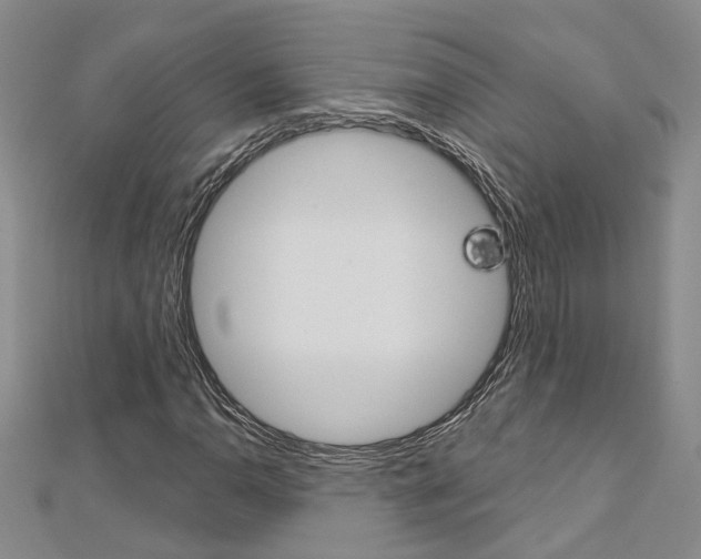 X0000113161110200909040947