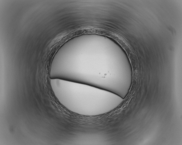 X0000113161111200909040947
